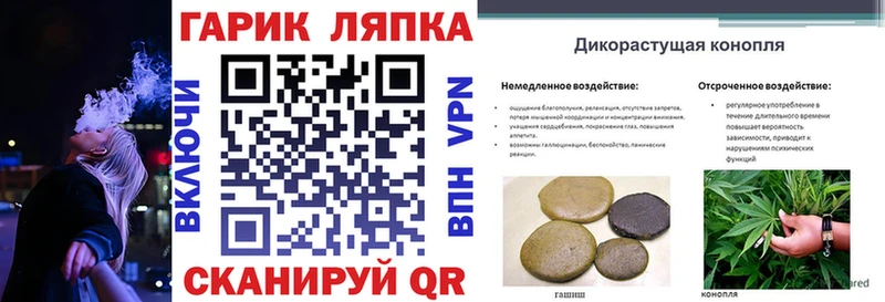 наркотики  Лесозаводск  Гашиш индика сатива 