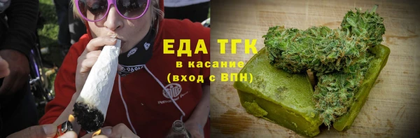 крисы Новозыбков