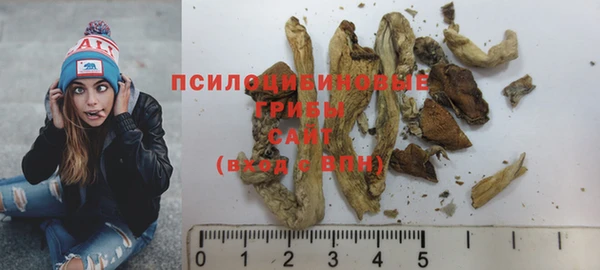 альфа пвп Новодвинск
