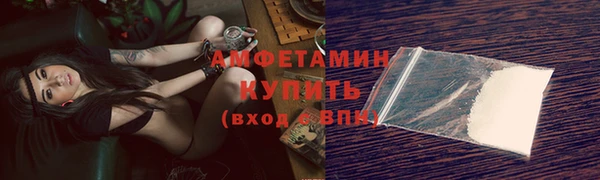 крисы Новозыбков