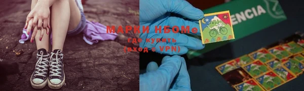 крисы Новозыбков