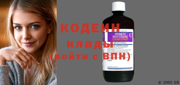 крисы Новозыбков