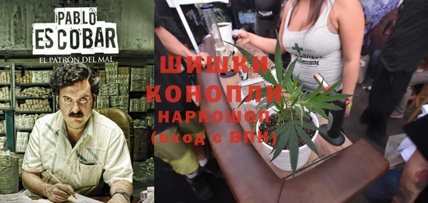 ешки Новокубанск