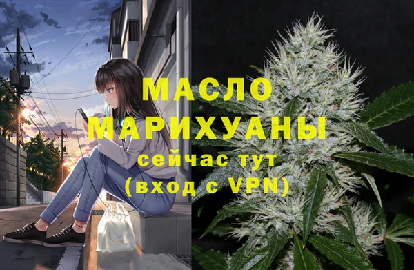 крисы Новозыбков