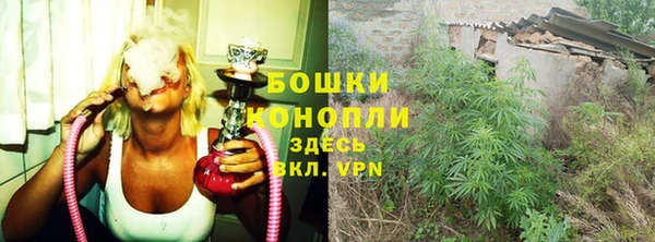альфа пвп Новодвинск