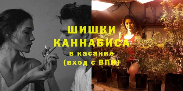 альфа пвп Новодвинск
