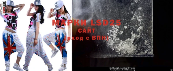 крисы Новозыбков