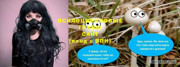 ешки Новокубанск